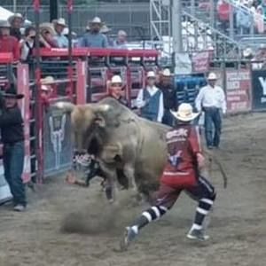 Meet your Posher, Ricky